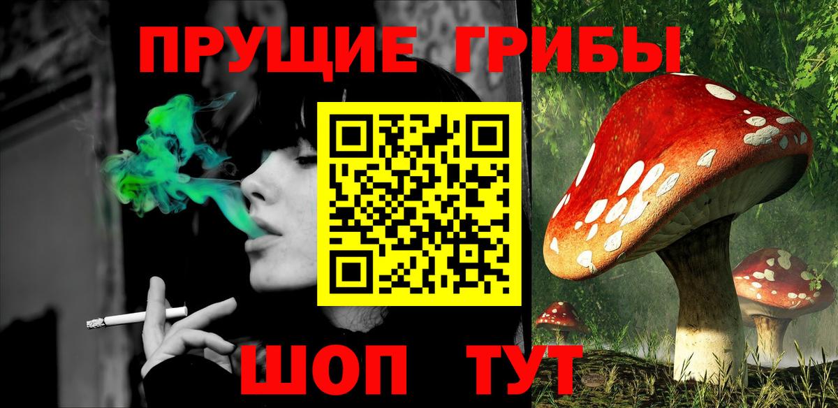 Галлюциногенные грибы Cubensis Мценск