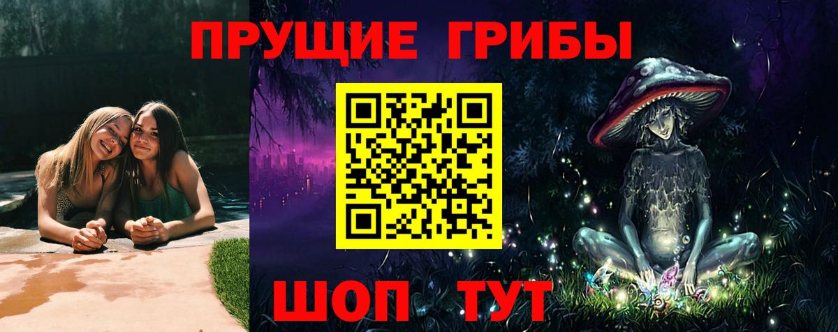 Псилоцибиновые грибы Psilocybine cubensis  продажа наркотиков  Мценск  Вход с VPN  Псилоцибиновые грибы Psilocybine cubensis 